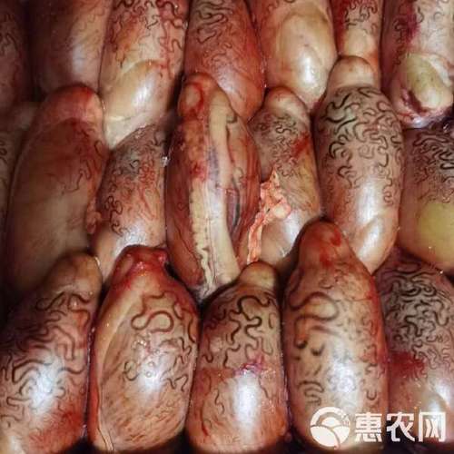 链接全球优质蛋白资源 国产牛宝批发与禽畜肉蛋优选供应链新格局